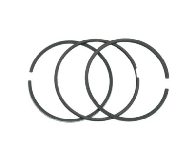 Segmenti Tecumseh 69.85mm foto