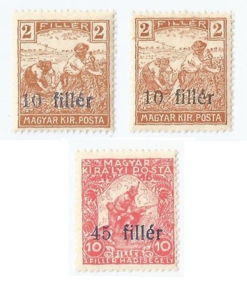 Romania, Em. Timisoara, LP. 1/1919, Marci magh. cu supratipar drept, MNH foto