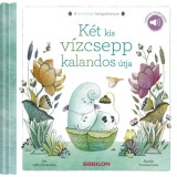 A term&eacute;szet hangosk&ouml;nyve - K&eacute;t kis v&iacute;zcsepp kalandos &uacute;tja - Let&ouml;lthető hangfelv&eacute;tellel! - Gilles Diederichs
