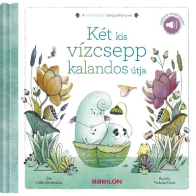 A term&amp;eacute;szet hangosk&amp;ouml;nyve - K&amp;eacute;t kis v&amp;iacute;zcsepp kalandos &amp;uacute;tja - Let&amp;ouml;lthető hangfelv&amp;eacute;tellel! - Gilles Diederichs foto