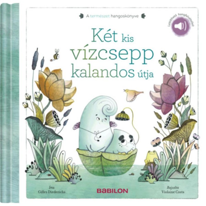 A term&eacute;szet hangosk&ouml;nyve - K&eacute;t kis v&iacute;zcsepp kalandos &uacute;tja - Let&ouml;lthető hangfelv&eacute;tellel! - Gilles Diederichs