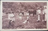Fotografie tip Carte Postala, Copii din mediul rural, in costume populare, perioada interbelica