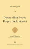 Despre sf&acirc;nta feciorie. Despre binele văduviei - Paperback brosat - Fericitul Augustin - Institutului Biblic şi de Misiune Ortodoxă