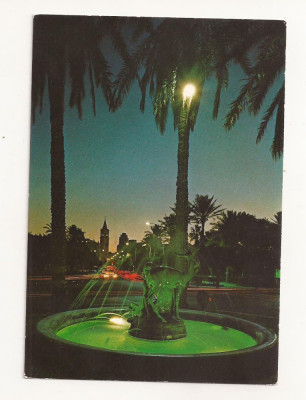 FA29-Carte Postala- LIBIA - Tripoli, Gazzelle Fountain, necirculata foto