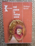 CAD PIETRE IN FANTANA SEACA-SZILAGYI ISTVAN, 1996, Didactica si Pedagogica