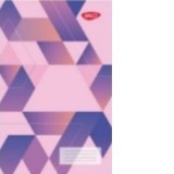 Registru A4 192 file DACO model roz violet RG4192AR