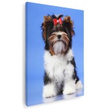 Tablou caine Yorkshire Terrier cu fundita Tablou canvas pe panza CU RAMA 30x40 cm