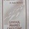 GHIDUL MAMEI CRESTINE-VIOREL SAVA, RADU BRANZA-217810
