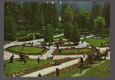 CPIB 18861 CARTE POSTALA - BORSEC. PARCUL CENTRAL foto