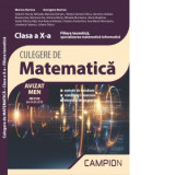 Culegere de matematica. Filiera teoretica, specializarea matematica-informatica. Clasa a X-a ( Metode de numarare, matematici financiare, elemente de