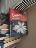 Plante decorative urcătoare - Adrian Mărgarit