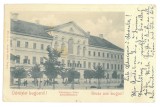 5351 - LUGOJ, Timis, County House, Litho, Romania - old postcard - used - 1901