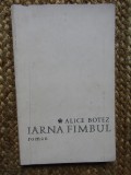 Alice Botez - Iarna Fimbul