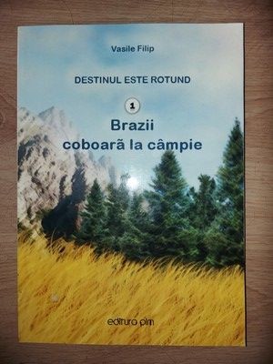 Brazii coboara la campie- Vasile Filip foto