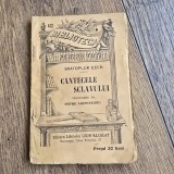 Cantecele sclavului - Svatopluk Cech