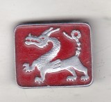 bnk ins URSS - insigna Dragon