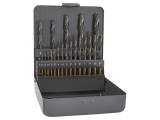 Set burghie HSS pentru metal Alpen-Maykestag 21 buc cod 0000810400100