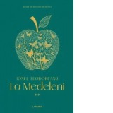 La Medeleni. Volumul II - Ionel Teodoreanu