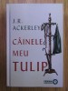 J. R. Ackerley - Cainele meu Tulip, 2022, Art