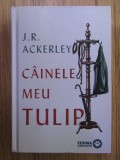 J. R. Ackerley - Cainele meu Tulip