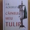 J. R. Ackerley - Cainele meu Tulip