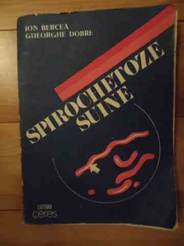 Spirochetoze Suine - Colectiv ,534642