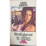 STRAFULGERAT DE IUBIRE-SARA ORWIG-263519