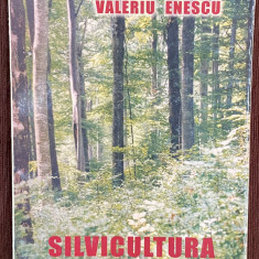 SILVICULTURA DURABILA de VALERIU ENESCU , 2002