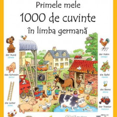 Primele mele 1000 de cuvinte în limba germană - Paperback brosat - Heather Amery, Mairi Mackinnon - Niculescu