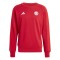 Bayern M&uuml;nchen hanorac de bărbați DNA Sweat red - M