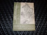 Limba Si Stilul Poeziei Lui Vasile Alecsandri - Florin D. Popescu , 21166, Didactica Si Pedagogica