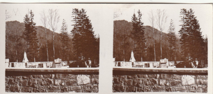 Fotografie stereoscopica-Sinaia (Prahova),Cimitirul eroilor(Razboiul 1915-1918)