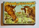 Animale și păsări domestice &ndash; carte pliantă pentru copii (1&ndash;3 ani)