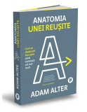 Anatomia unei reușite - Paperback brosat - Publica