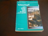 Tehnologii pt betonarea lucrarilor speciale din subteran si de la suprafata 1997