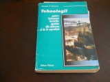 Tehnologii pt betonarea lucrarilor speciale din subteran si de la suprafata 1997, Tehnica