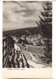 CPIB 22121 - CARTE POSTALA - PREDEAL. CIOPLEA, VEDERE, RPR, NECIRCULATA