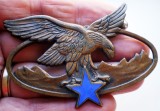 5.584 INSIGNA MILITARA FRANTA ALPINIST MILITAR VANATOR DE MUNTE TROUPES DE MONTAGNE