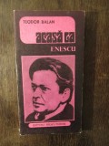 ACASA CA ENESCU-TEODOR BALAN