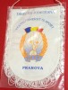 Fanion Directia Judeteana pt Tineret si SPORT Prahova (DJTS) folie de protectie