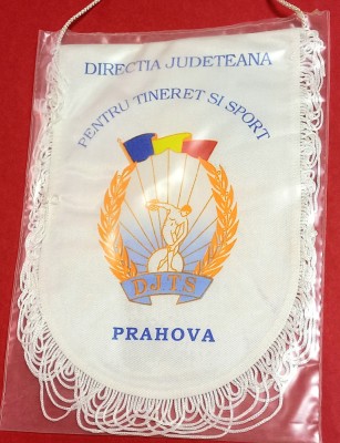 Fanion Directia Judeteana pt Tineret si SPORT Prahova (DJTS) folie de protectie foto