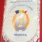 Fanion Directia Judeteana pt Tineret si SPORT Prahova (DJTS) folie de protectie