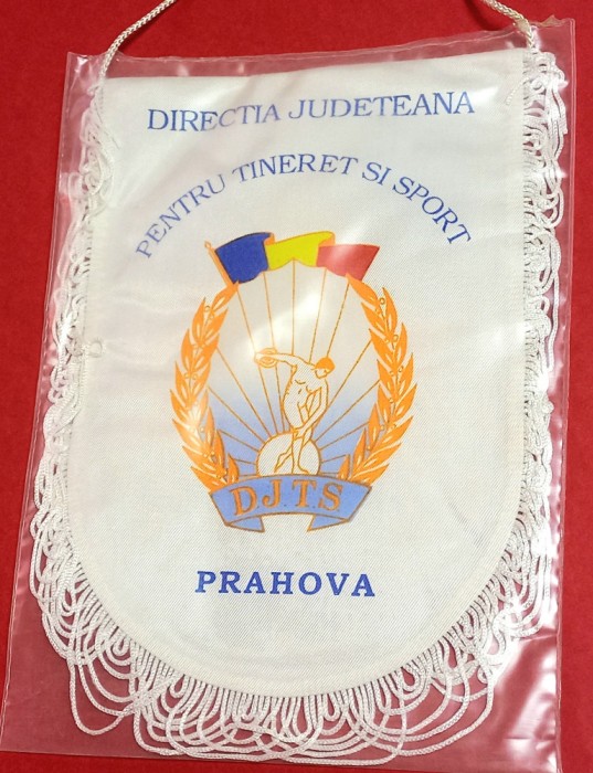 Fanion Directia Judeteana pt Tineret si SPORT Prahova (DJTS) folie de protectie