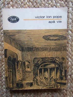 APA VIE-VICTOR ION POPA foto