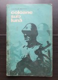 Coloane sub lună - Gheorghe Bejancu