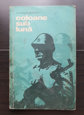 Coloane sub lună - Gheorghe Bejancu foto