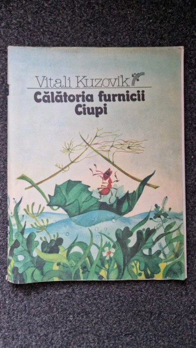 CALATORIA FURNICII CIUPI- Vitali Kuzovik