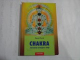 CHAKRA - DAVID POND