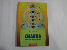 CHAKRA - DAVID POND foto