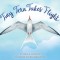Tiny Tern Takes Flight